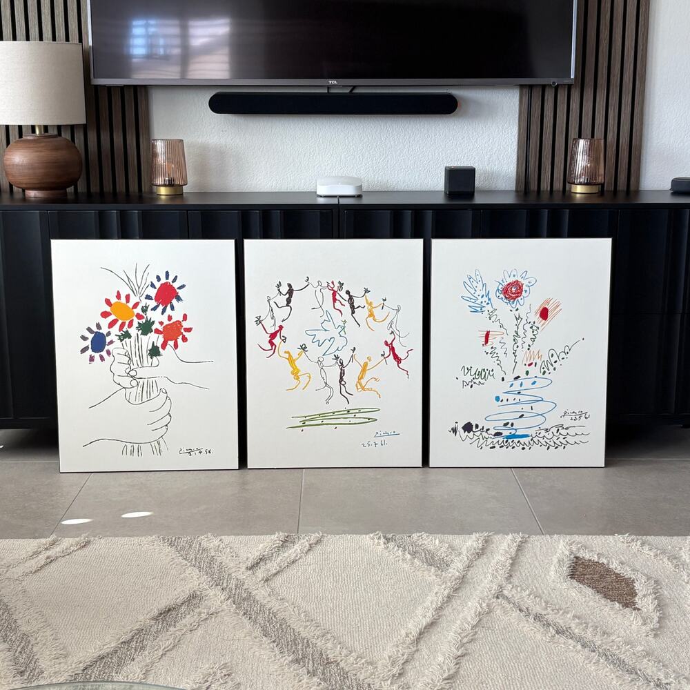 Picasso Colorplak Wood Panel Art Prints 20x26 Triptych Modern Wall Decor Set 3
